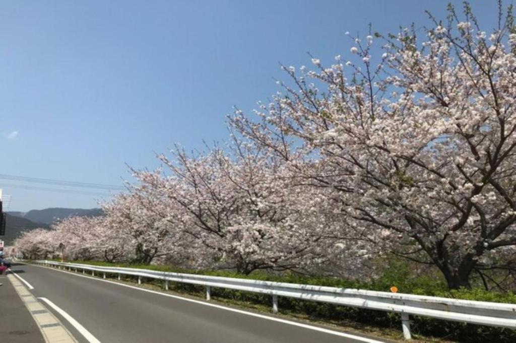 Business Hotel Kawakami Kumano Bagian luar foto